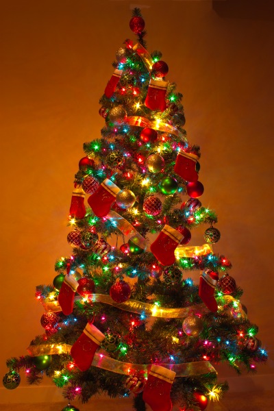 Y_Christmas_Tree_2